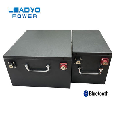 comprare LCD su misura di Ion Batteries Rechargeable With del litio del carretto di golf 48V 200Ah fabbricazione online