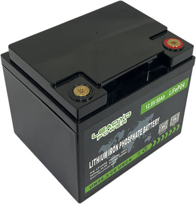comprare Batterie profonde ricaricabili del ciclo dell'Accumulatore litio-ione 12v 50Ah LiFePO4 di BMS Marine Boat fabbricazione online