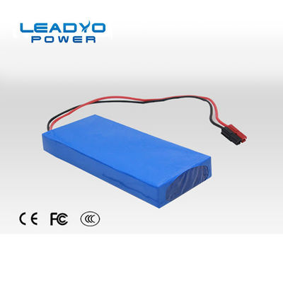comprare litio Ion Iron Phosphate Battery Customized di 24V 10Ah con RS485 fabbricazione online
