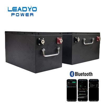 Batteria su ordinazione di BMS 24V 400ah Lifepo4 per stoccaggio solare 5000 cicli di volte