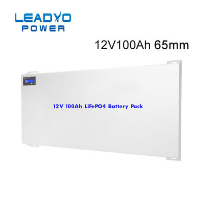 comprare La batteria profonda 12V 100Ah del ciclo del litio dietetico di LEADYO sostituisce la batteria del caravan di AGM fabbricazione online