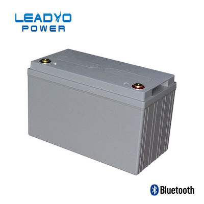 comprare la batteria di 50Ah 24V Lifepo4 in profondità cicla il litio Ion Battery Weight 31 libbra fabbricazione online