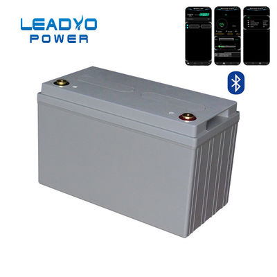 comprare Batteria di Bluetooth 100Ah 12V Lifepo4 batteria profonda del ciclo rv da 12 volt fabbricazione online