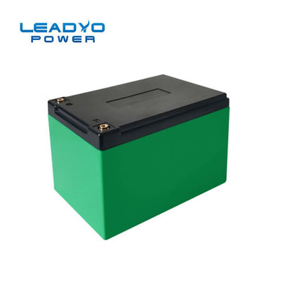 Buon prezzo F2 pacchetti della batteria del fosfato del ferro del litio della batteria Lifepo4 del terminale 10ah Leadyo in linea