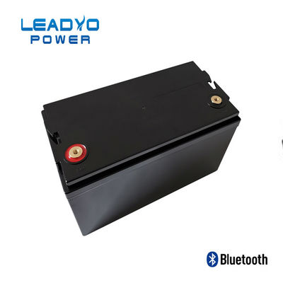 Buon prezzo Cassa di plastica delle batterie 12V 100amp Screwable di LEADYO BMS Marine Lifepo 4 in linea